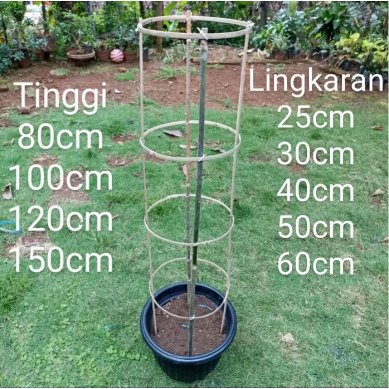Jual tinggi lengkap turus tanaman bambu penyangga tanaman rambat ...