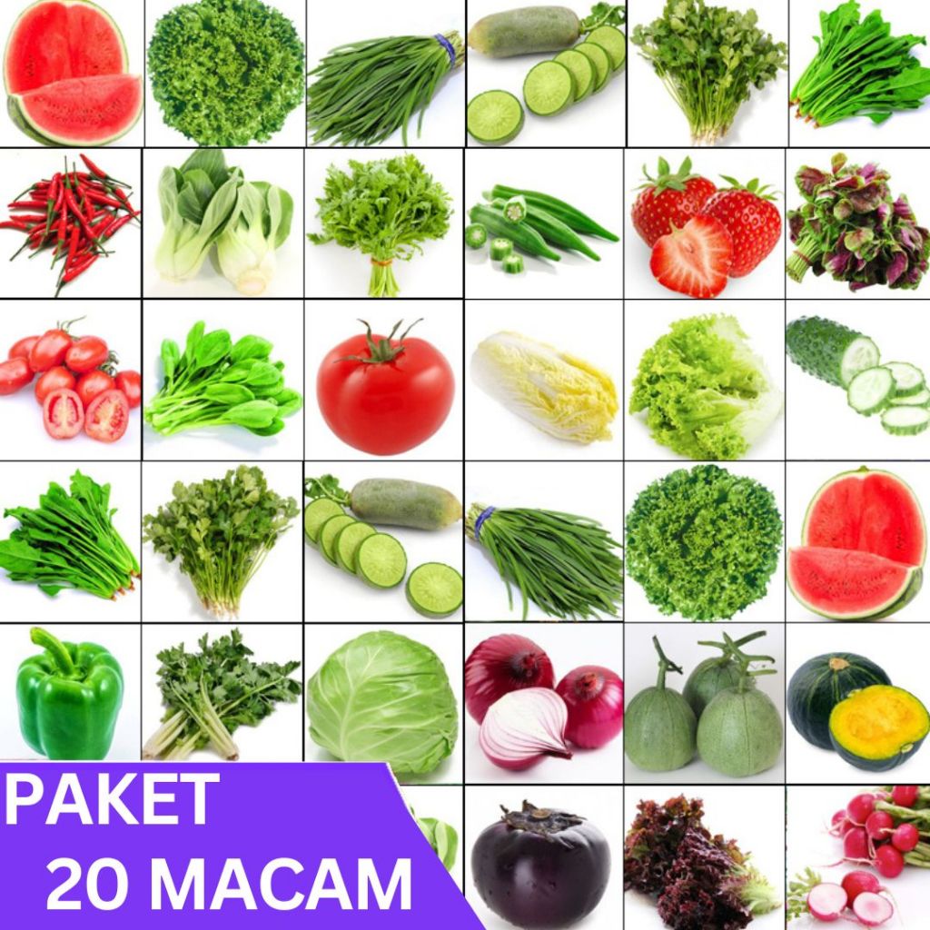 PAKET 20 BENIH SAYURAN LENGKAP MUDAH TUMBUH SIAP TANAM TANAMAN BUAH BUNGA BIJI UMBI COD