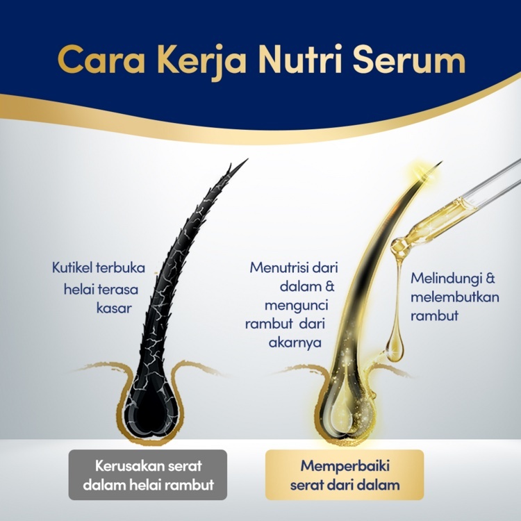 Jual Dove Perawatan Rambut Rontok Serum Shampo 135ml/Conditioner 160ml ...