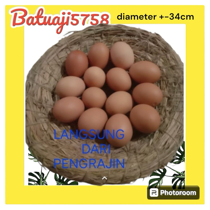Jual SARANG tarangan susuh AYAM Murah (LANGSUNG PENGRAJIN ) Jumbo ...
