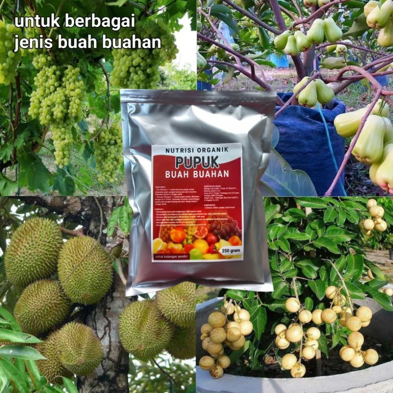 Testimoni 2