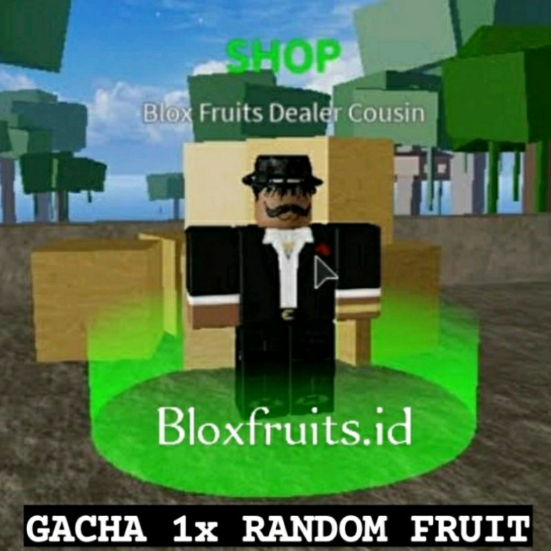 Jual GACHA RANDOM FRUIT BLOK FRUIT | Shopee Indonesia