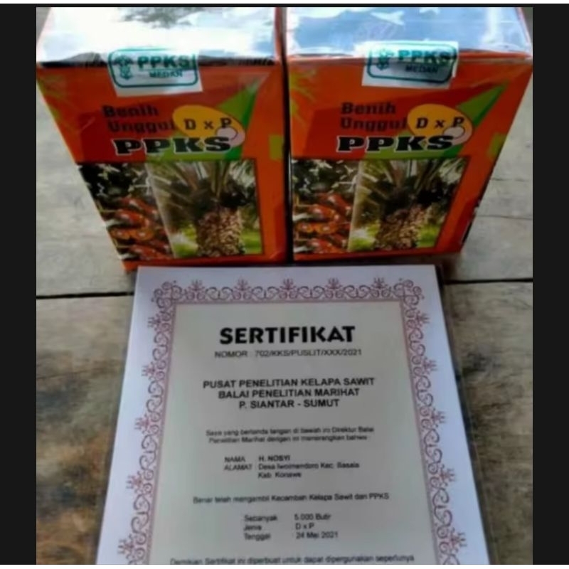 jual-benih-sawit-ppks-dxp-medan-540-ng-shopee-indonesia
