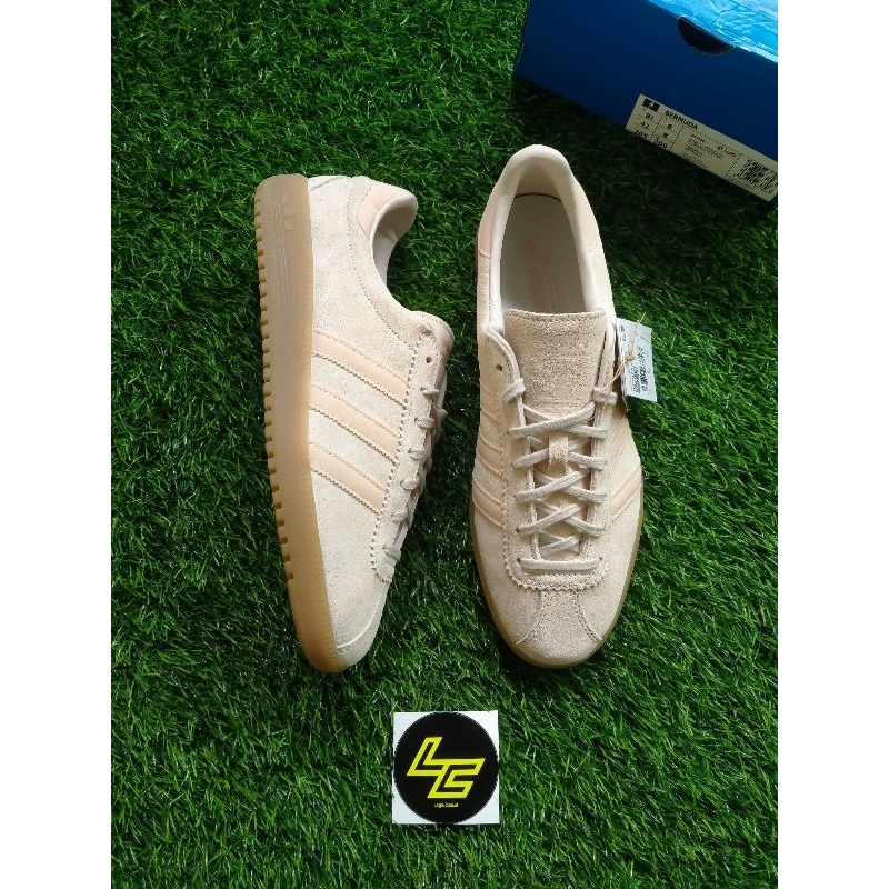 Adidas hotsell bermuda cream