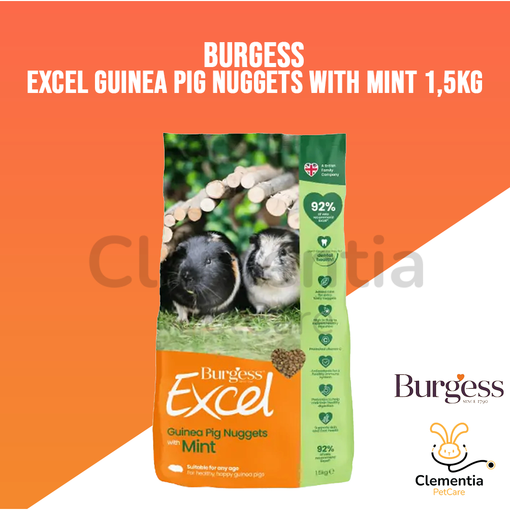 Burgess excel nuggets hotsell with mint guinea pig