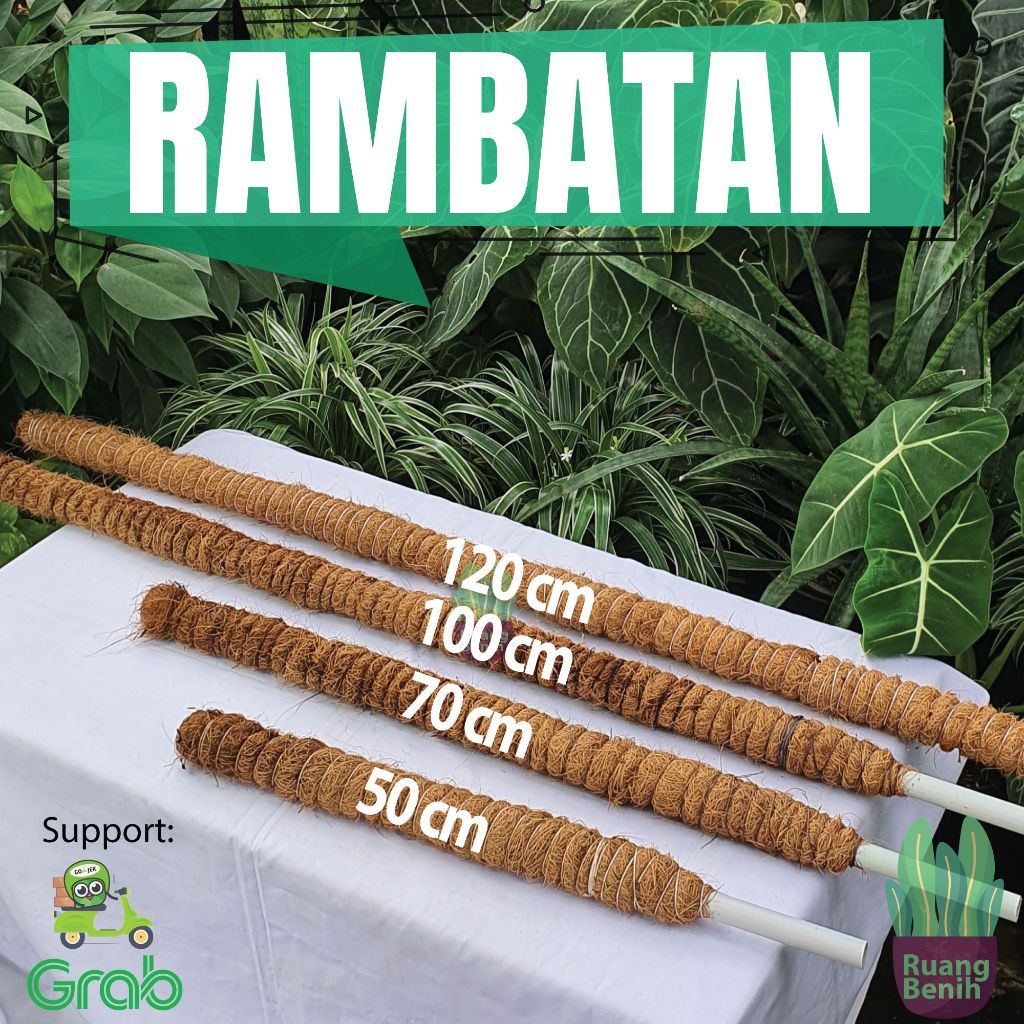 Jual Turus Rambatan Tanaman Hias Ori Coco Fiber Cocok Untuk Tanaman ...