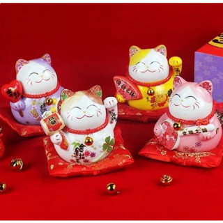 Jual lucky deals cat