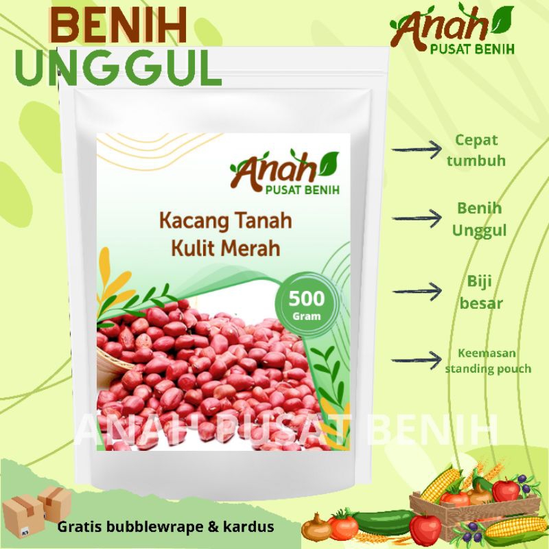 Jual Kacang tanah kulit merah 500 gram / bibit kacang / biji kacang
