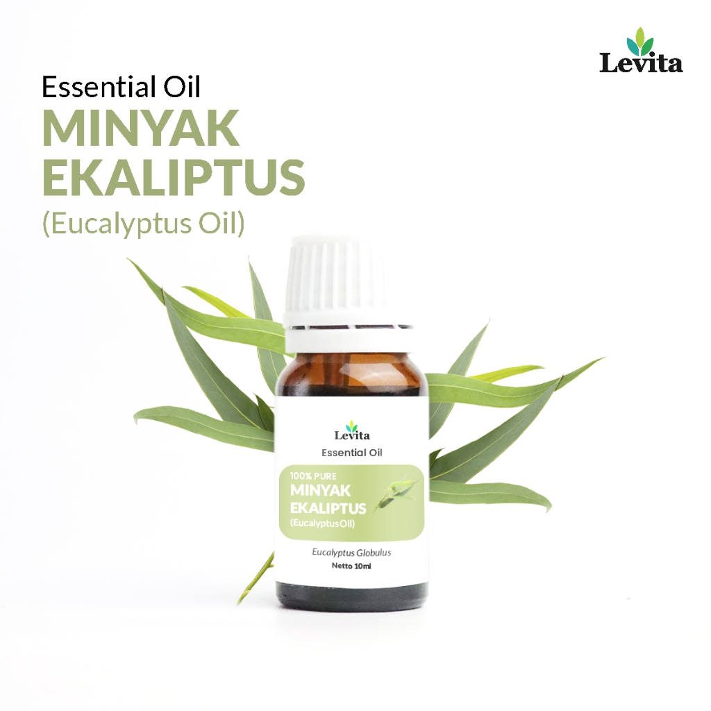 Jual Levita Minyak Ekaliptus Murni Eucalyptus Oil - Pure Minyak Atsiri ...