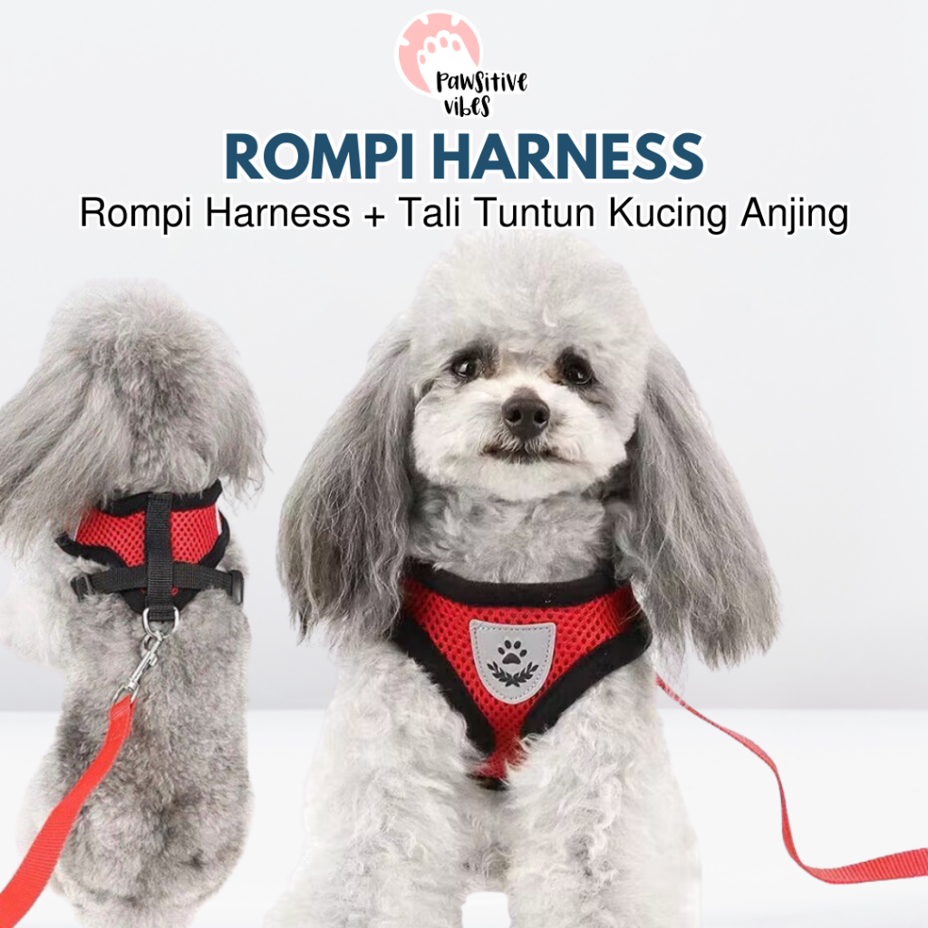 Jual Pawsitive Vibes Rompi Harness + Tali Tuntun Kucing Anjing Cat Dog ...