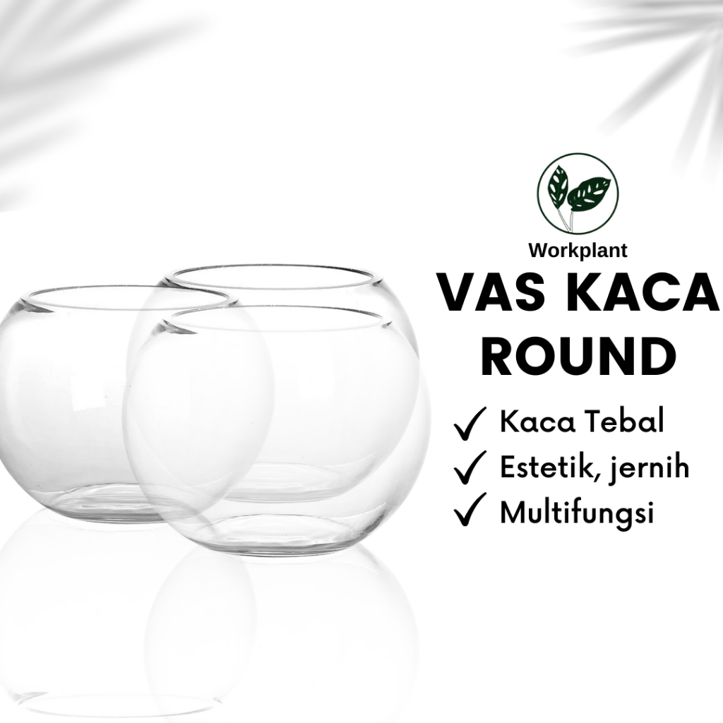 Jual Vas Kaca Round Vas Bunga Aesthetic Pot Bunga Tanaman Hias Hidroponik Aquarium Mini