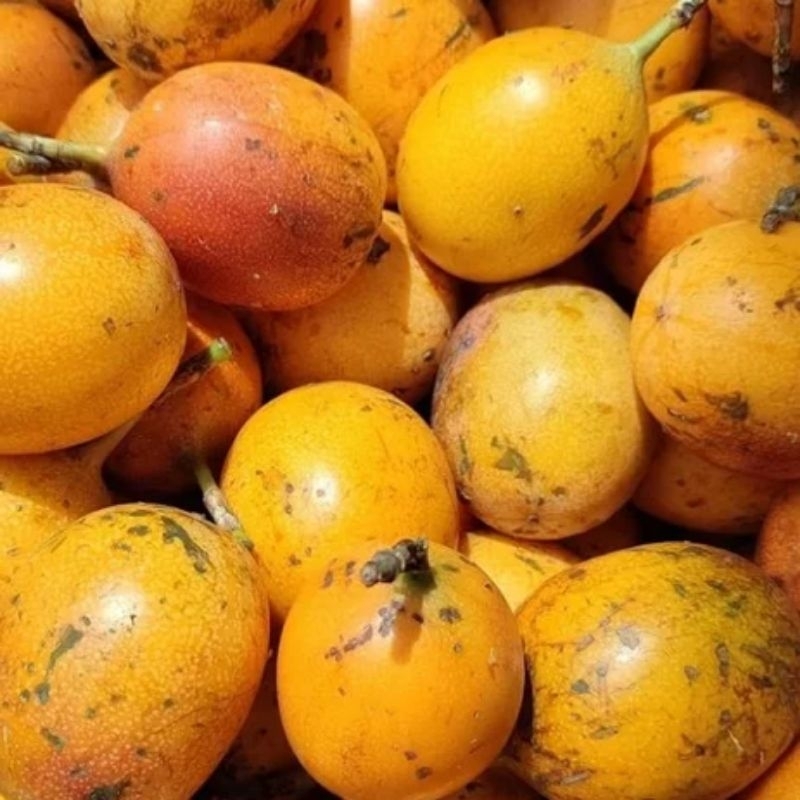 Jual Buah Markisa Madu Manis Konyal 1kg Shopee Indonesia 