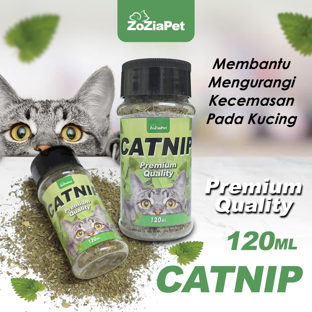 Catnip Bubuk Kucing ZOZIAPET CATNIP ML