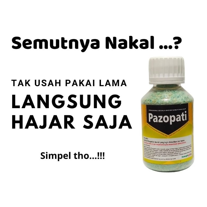 Jual Racun Semut, Rang-Rang (rangrang), Cicak, Lalat dan kecoak (80 Gr ...