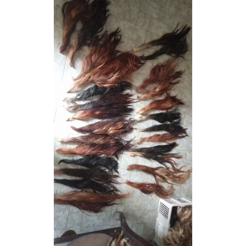 Jual BACA DESKRIPSI Rambut Ekor/Gubat/Buntut Sapi Alitan (paling kecil ...