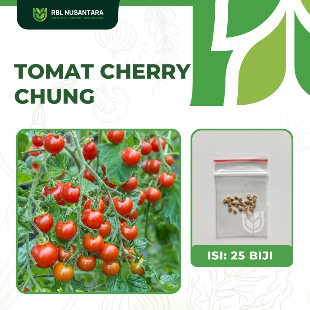 Jual Benih Tomat Mini Ceri Chung Ipb Isi Terbanyak Benih Tomat