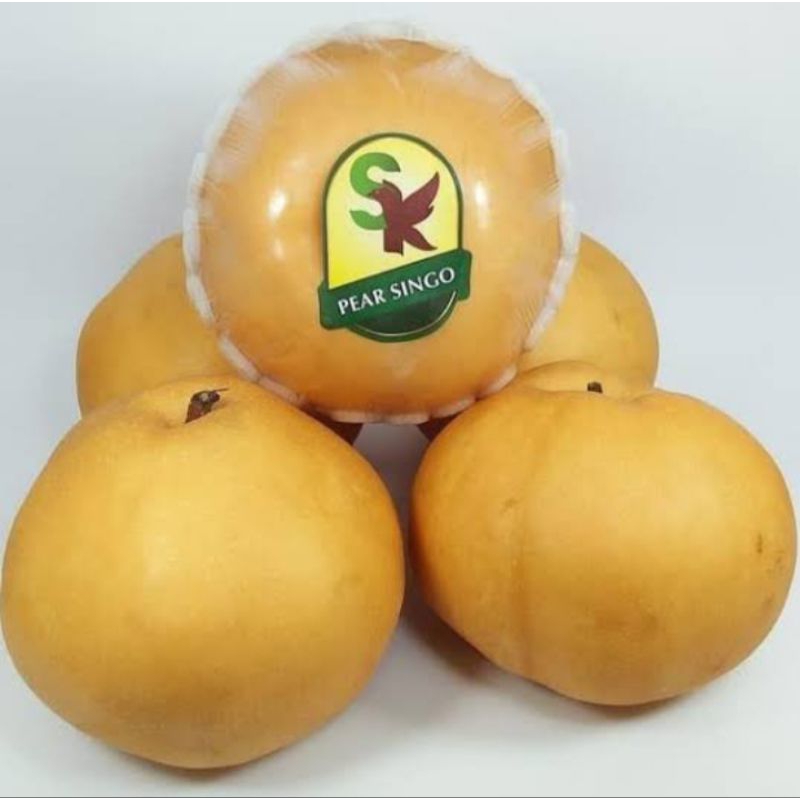 Jual Buah Pear golden, pear singo, 2 buah, fresh (Chat admin sebelum CO ...