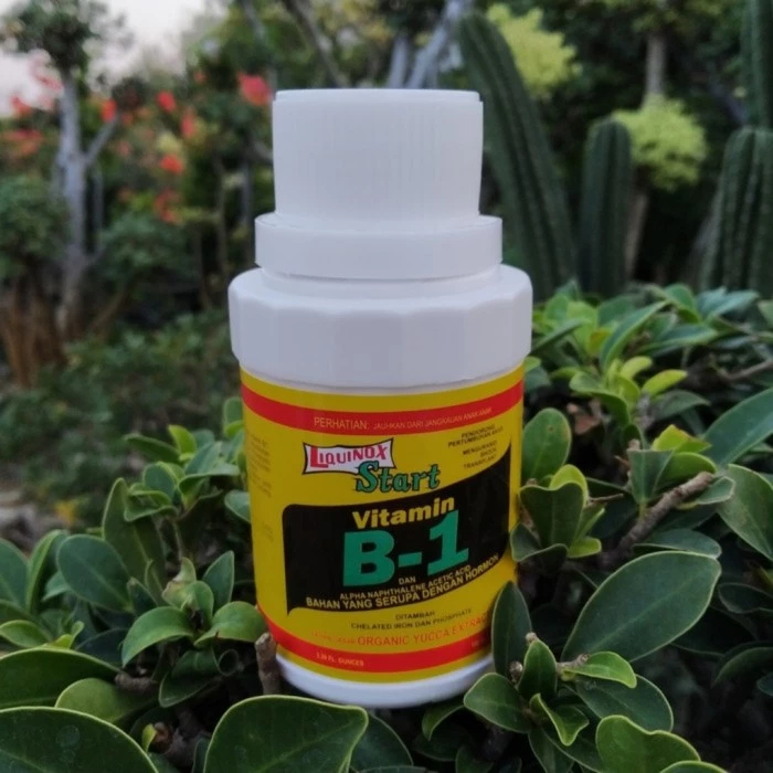 Jual Pupuk Vitamin B1 Liquinox 100ml Pembibitan Benih Sayur Bunga Dan ...