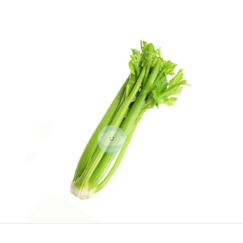 Jual CELERY STICK SELEDRI STIK IMPOR PER 10 KG Shopee Indonesia