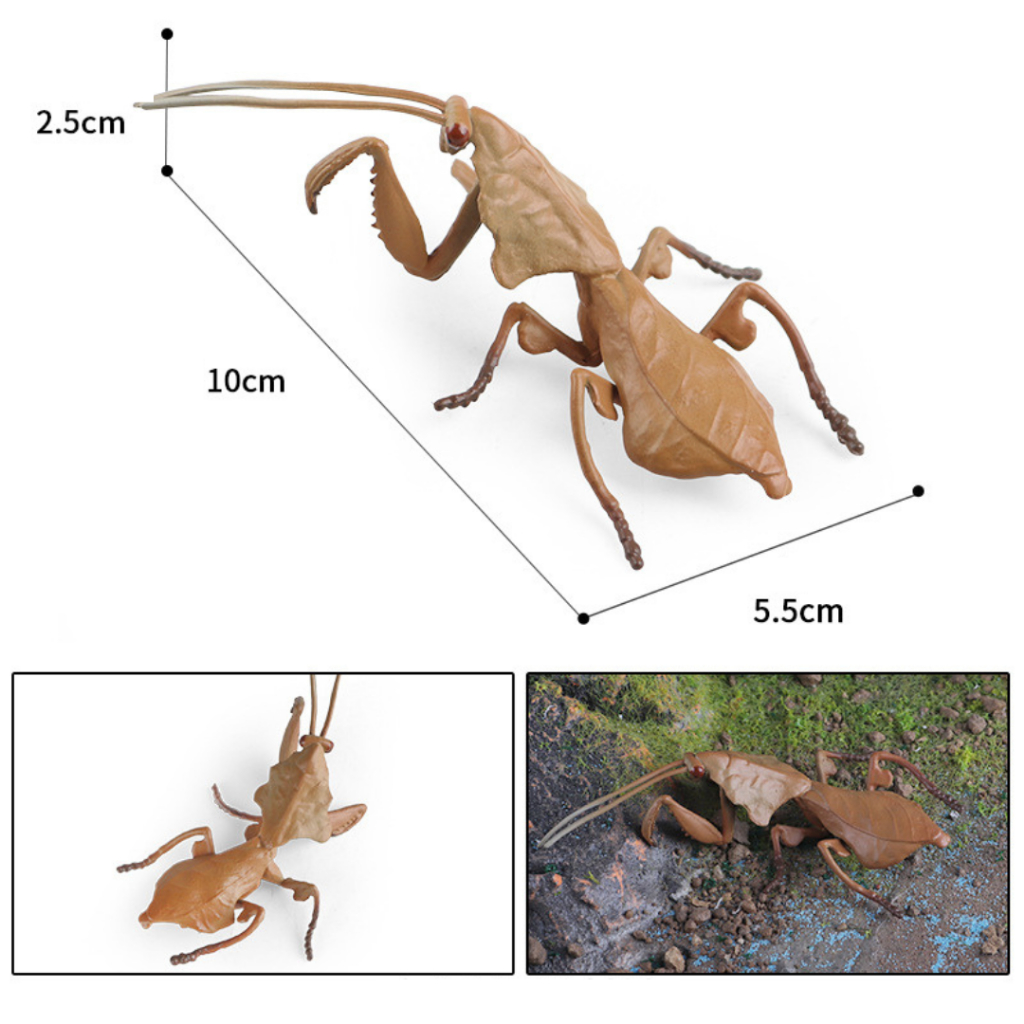 Jual MALOTOYS - Insects Figurine Insect Figure Mainan Model Toys Figur ...