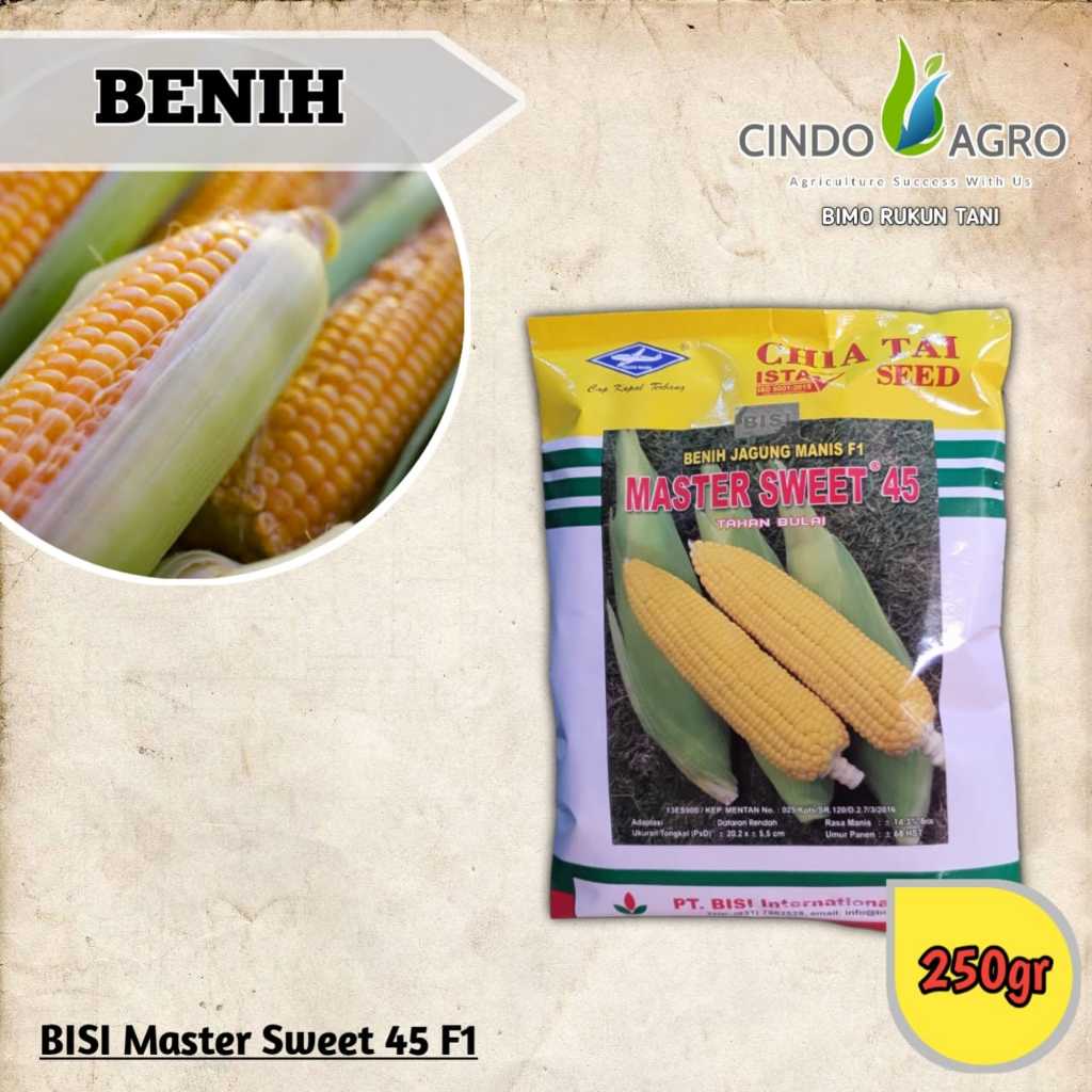 Jual Benih Jagung Manis Hibrida F1 Master Sweet 250gram Shopee