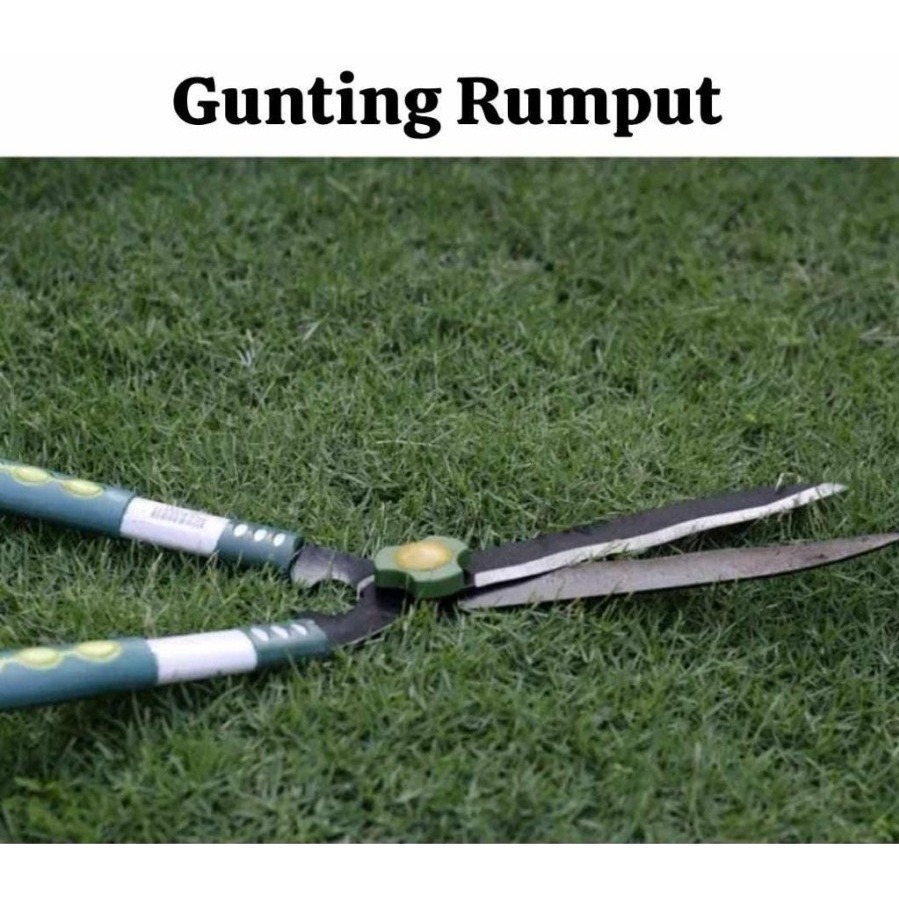Jual Gunting Rumput Super Tajam 48CM Gunting Potong Rumput Besar 0987 ...