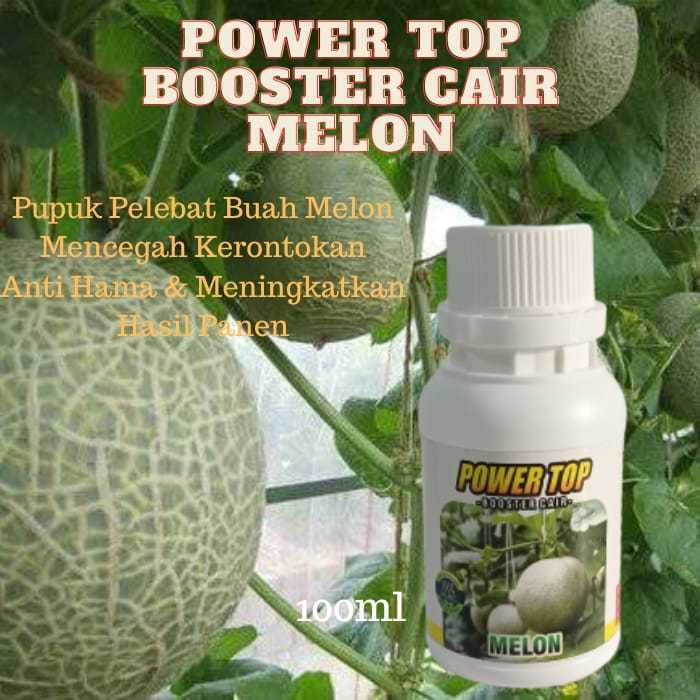 Jual Pupuk Pelebat Melon Pupuk Booster Melon Pupuk Organik Cair Untuk Melon Menyuburkan