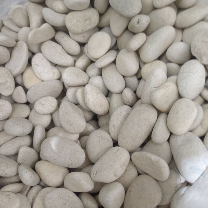 Jual Batu Taman Putih / Batu Koral Putih Kupang 1kg | Shopee Indonesia