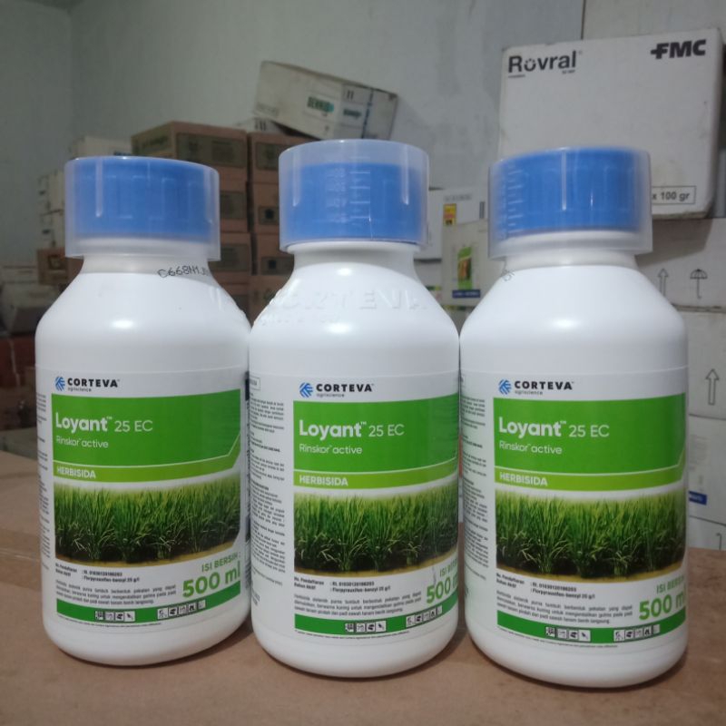 Jual Loyant 25 Ec Herbisida (500ml) | Shopee Indonesia