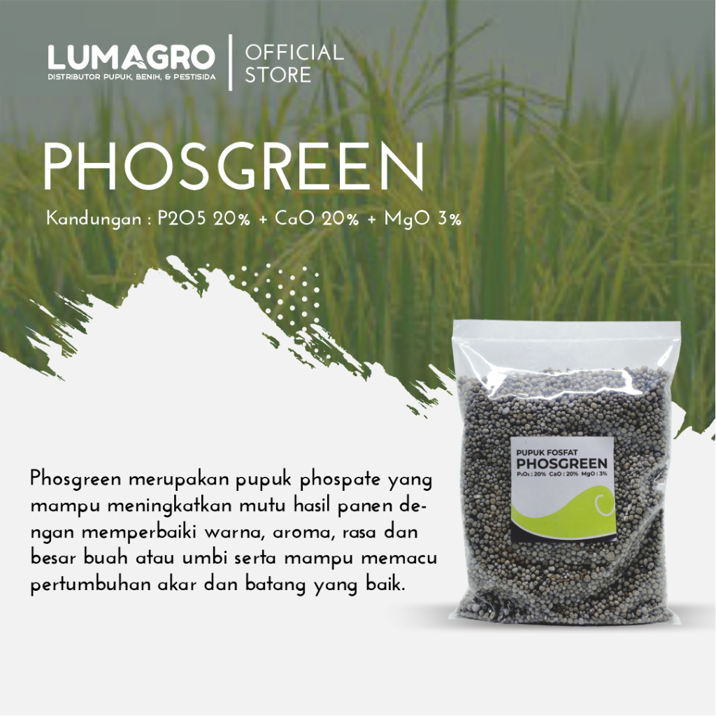 Jual Pupuk Phosgreen 1kg Repack Nutrisi Phospat Mempercepat Pertumbuhan ...