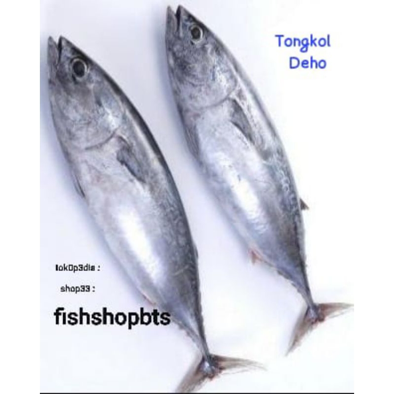 Jual Ikan Tongkol Deho Deho Tongkol Deho Shopee Indonesia