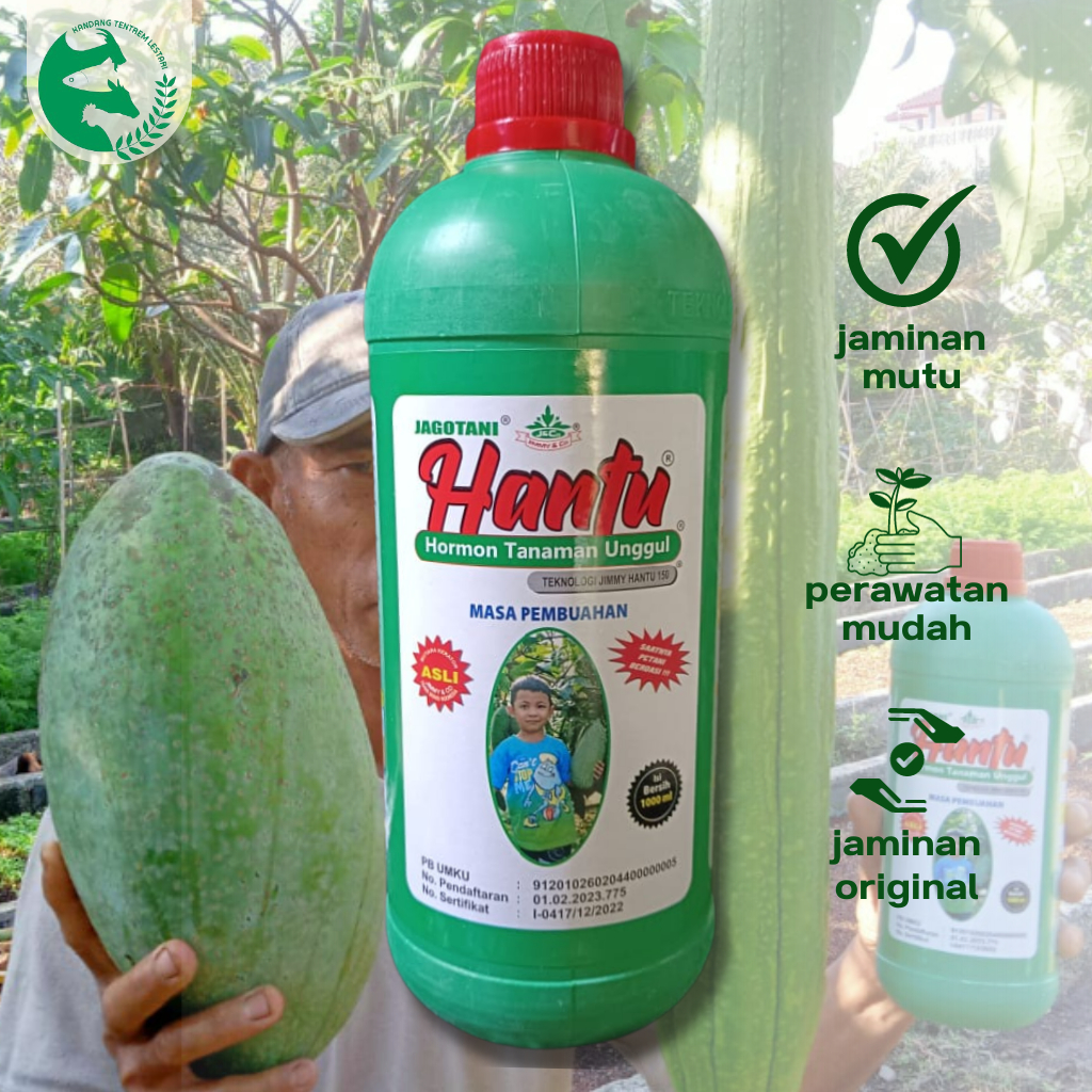 Jual Pupuk Hantu Hijau 150 Masa Pembuahan 1 Liter Original Hormon Buah Besar Pupuk Organik 