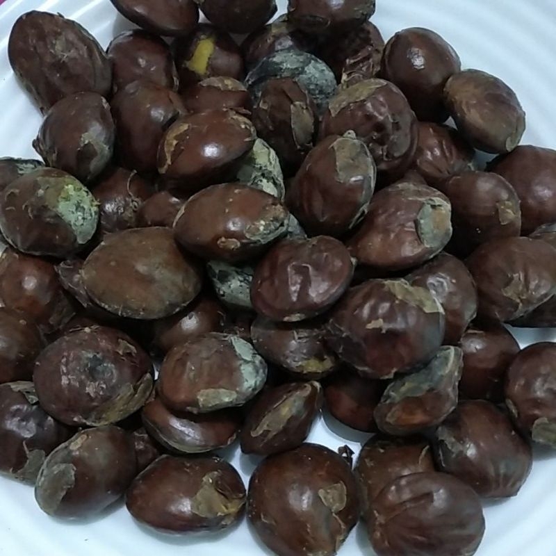 Jual Bahan Jengkol Jering Tua Segar Shopee Indonesia 