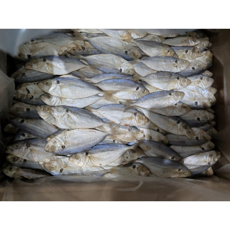 Jual Ikan Asin Selar Super 1kg Shopee Indonesia 3248