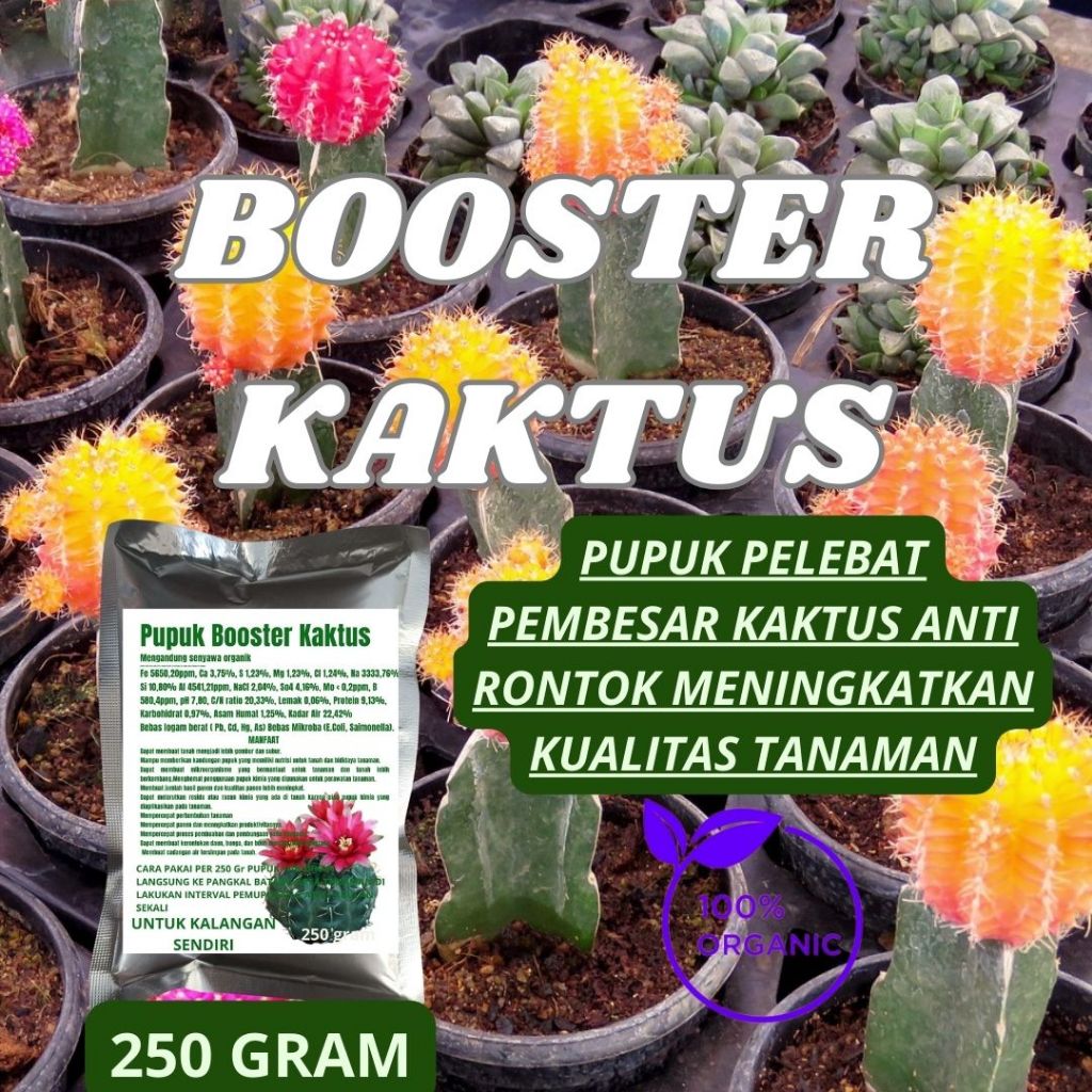 Jual TFI Pupuk Booster Organik 250gr Nutrisi Maksimal untuk Kaktus/sukulen  Subur Daun Tebal & Warna Cerah | Shopee Indonesia