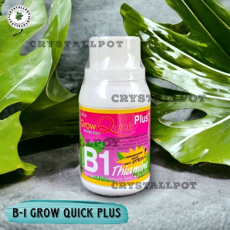 Jual GROW QUICK VITAMIN B1 PLUS 100 ML PUPUK HORMON AKAR KEMASAN PABRIK ...