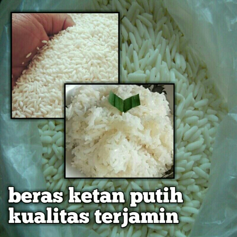 Jual Beras Ketan Putih 1kg Super Premium Lokal Shopee Indonesia