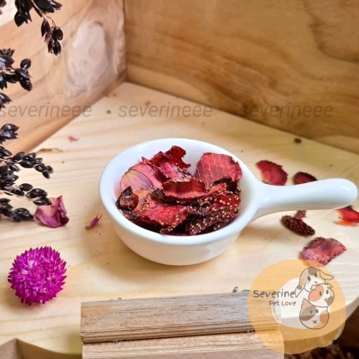 Jual Dried Strawberry Dehydrated strawberry snack hamster guinea pigs ...