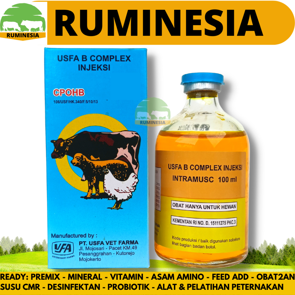 Jual USFA B COMPLEX INJ 100ML- Vitamin B Kompleks Hewan - Vitamin B ...