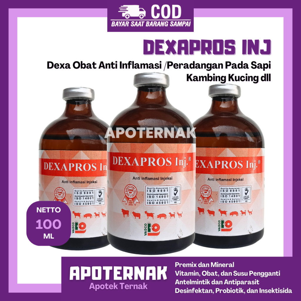 Jual DEXAPROS Inj 100ml Dexa Obat Anti Inflamasi Ternak Obat Radang