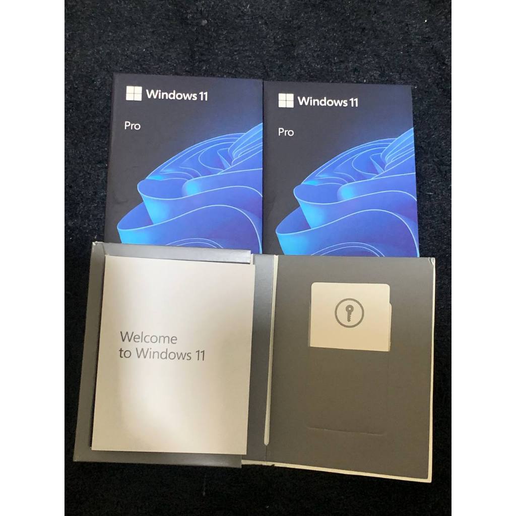 Jual Windows 11 Professional FPP USB instaler 2.0 Original Lifetime ...