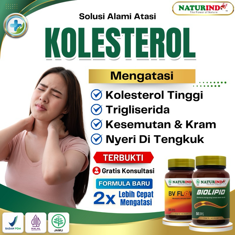 Obat Kolesterol Paling Ampuh Herbal Kolesterol Tinggi Dan Asam Urat