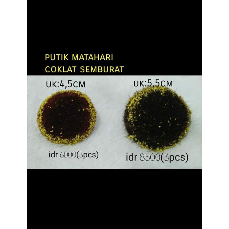 Jual putik matahari besar/ bahan kerajinan | Shopee Indonesia