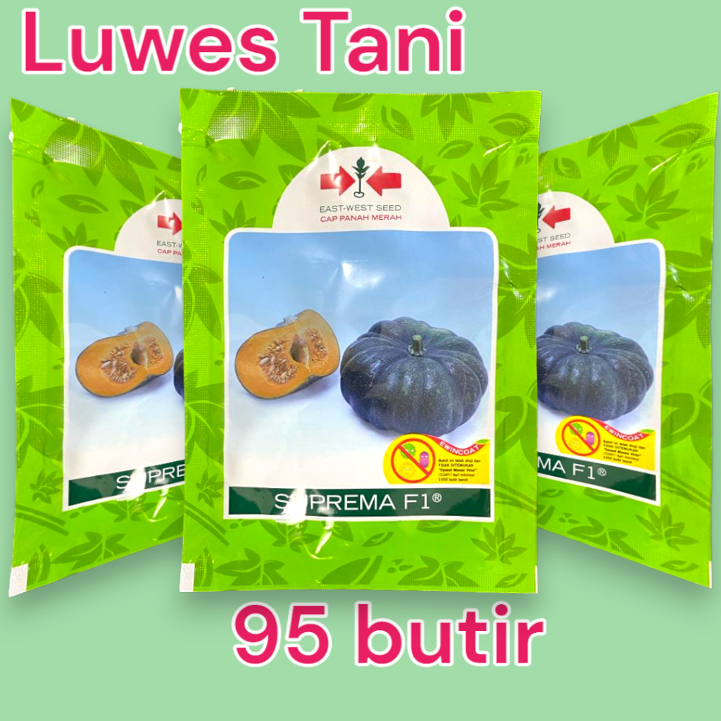 Jual Benih Labu Suprema f1 95 butir Labu waluh Panah Merah | Shopee ...