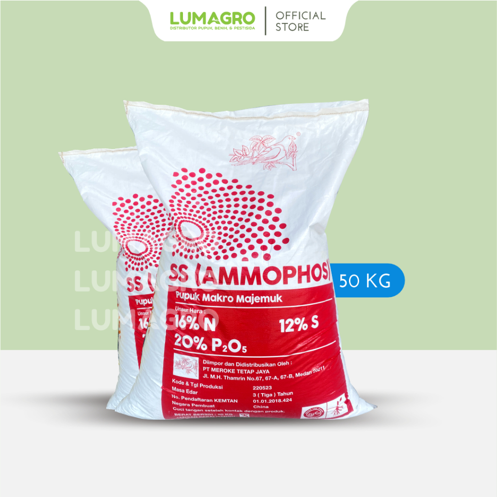 Jual Pupuk SS Ammophos 50kg Meroke Amonium Pospat Nutrisi Pertumbuhan ...
