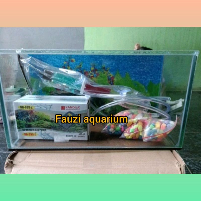 Jual AQUARIUM 30X15X15 BACKGROUND+ AERATOR | Shopee Indonesia