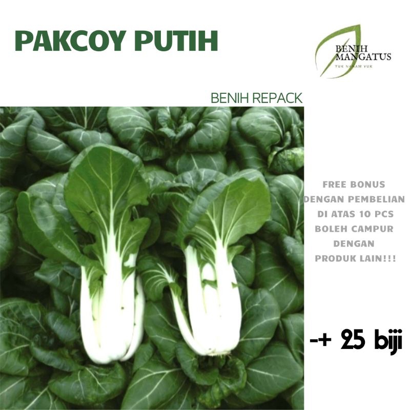 Jual B 02 Benih Pakcoy Putih 25 Biji Tanaman Bibit Sayuran Pakchoy