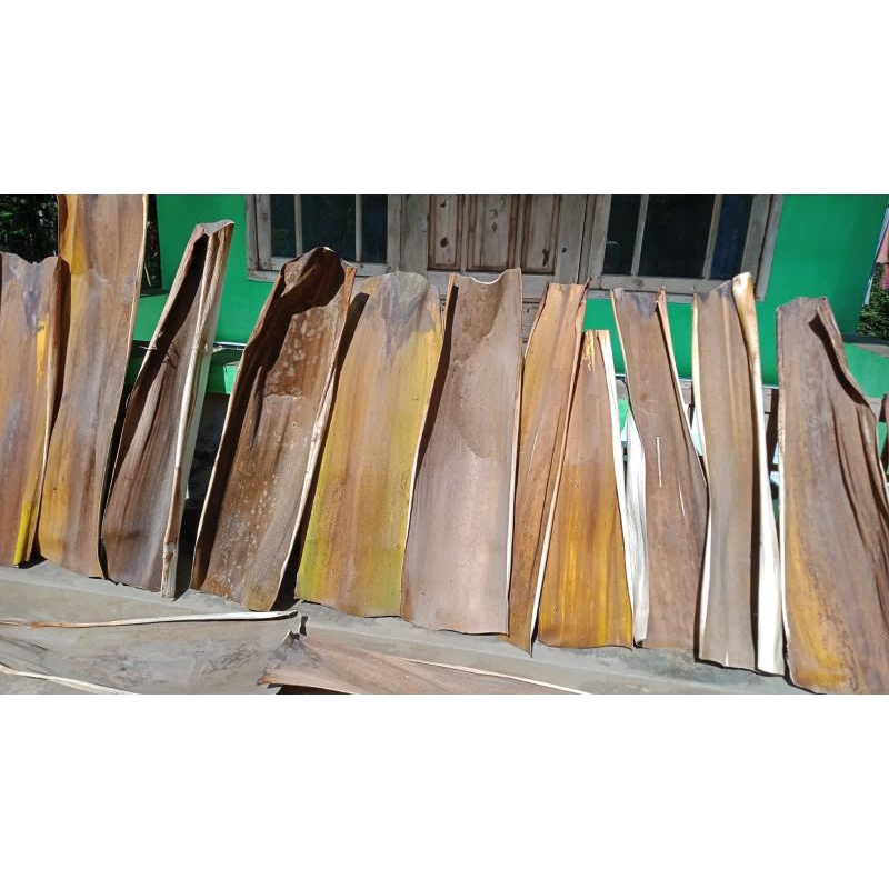 Jual pelepah pinang (upih/ope) | Shopee Indonesia