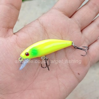 Jual Lure Micro / Mini Minnow 4cm / 2,5 gram Sinking Replika