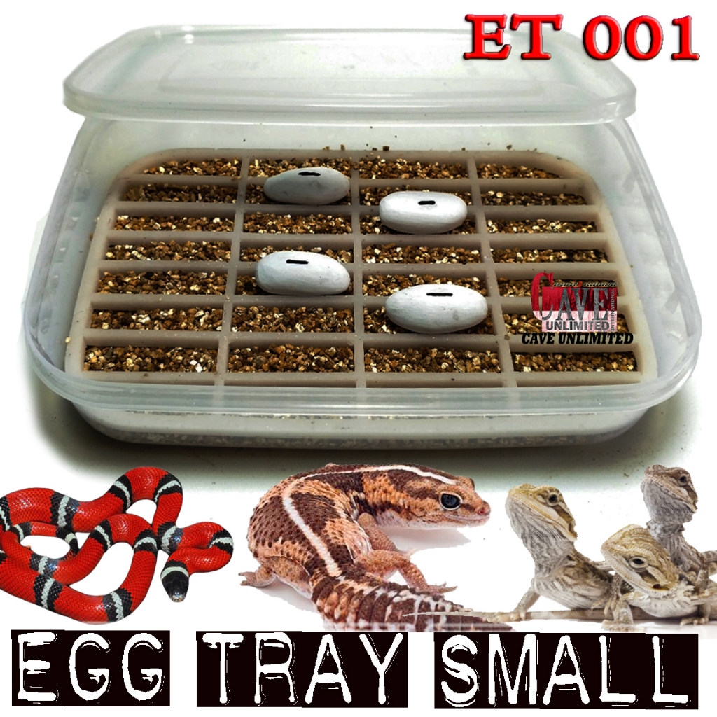 Jual EGG INCUBATOR TEMPAT PENYIMPANAN TELUR REPTILE WADAH